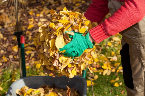 Professional garden clearance service in Purley